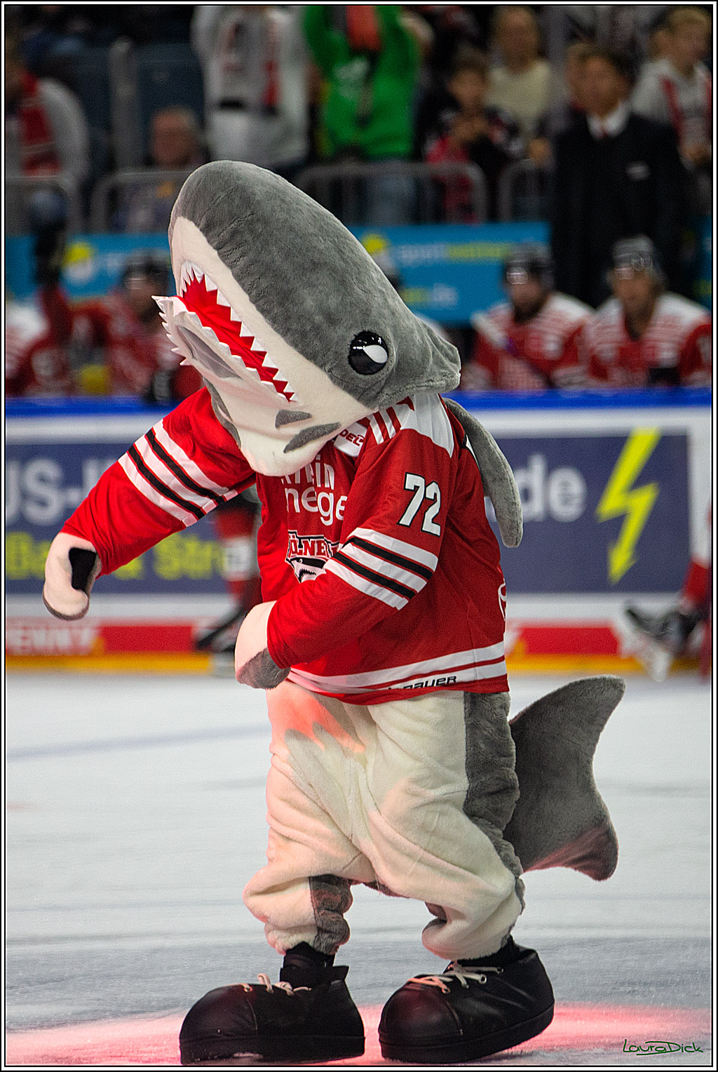 PENNY DEL; Koelner Haie- EHC Muenchen; Koeln, 15.09.2022